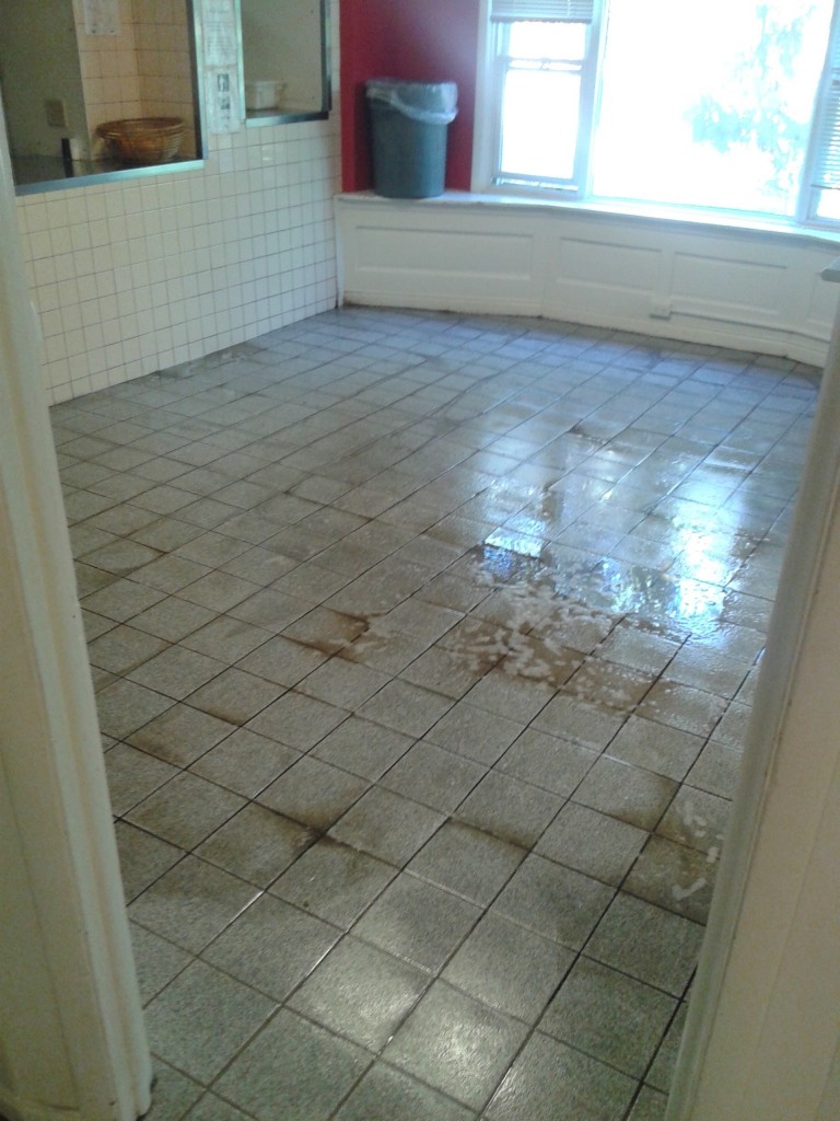 Bloomington Carpet - Tile & Grout Cleaning 5