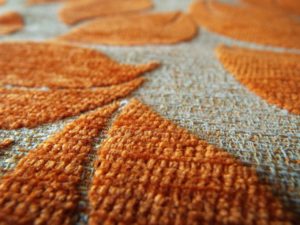 Bloomington_Carpet_Upholstery_Cleaning-Edina_Carpet_Cleaning