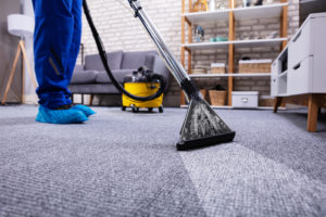 Bloomington Carpet & Upholstery Cleaning - Apple Valley MN carpet cleaning