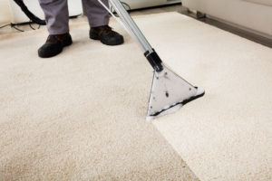 Bloomington Carpet & Upholstery Cleaning - Shakopee MN carpet cleaning
