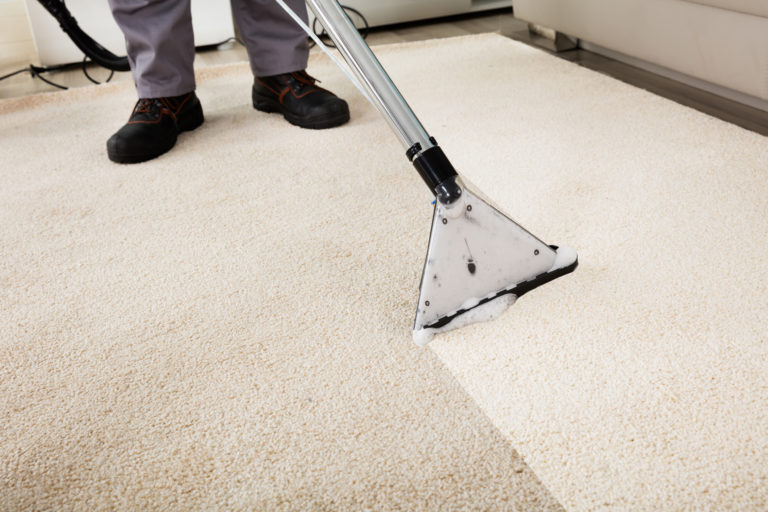 Carpet Cleaning Petersfield