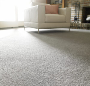 Image of a professionally cleaned carpet. Bloomington Carpet & Upholstery - Professional Carpet Cleaning