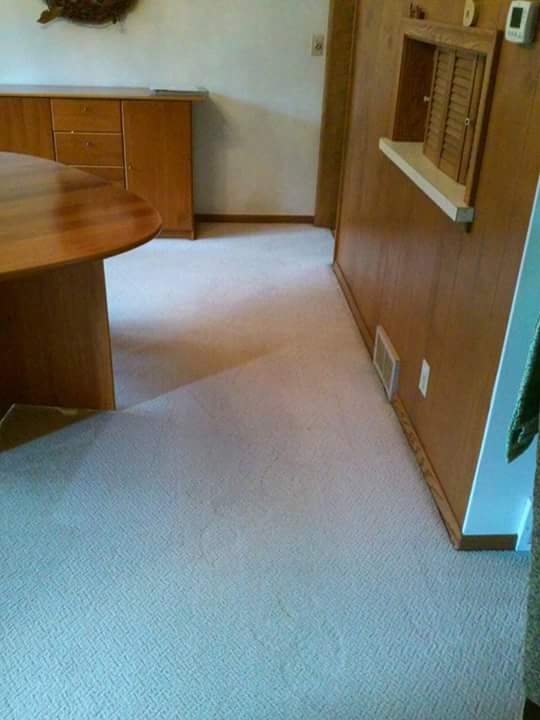 carpet cleaning experts Bloomington MN 1
