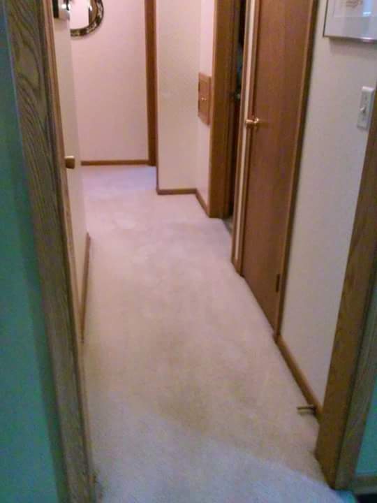 carpet cleaning experts Bloomington MN 2