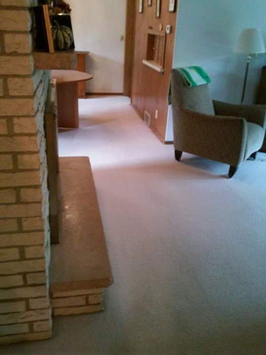 carpet cleaning experts Bloomington MN 3