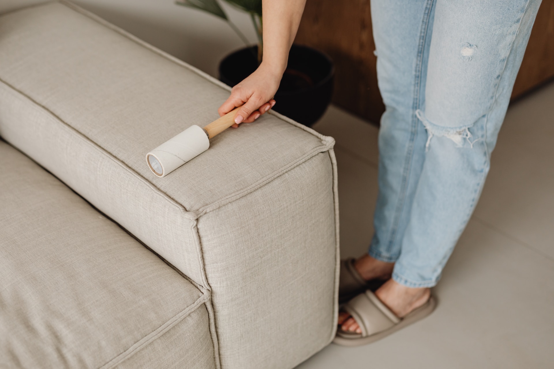 Upholstery Cleaning 101: A Guide to Maintaining Fresh and Clean Furniture 